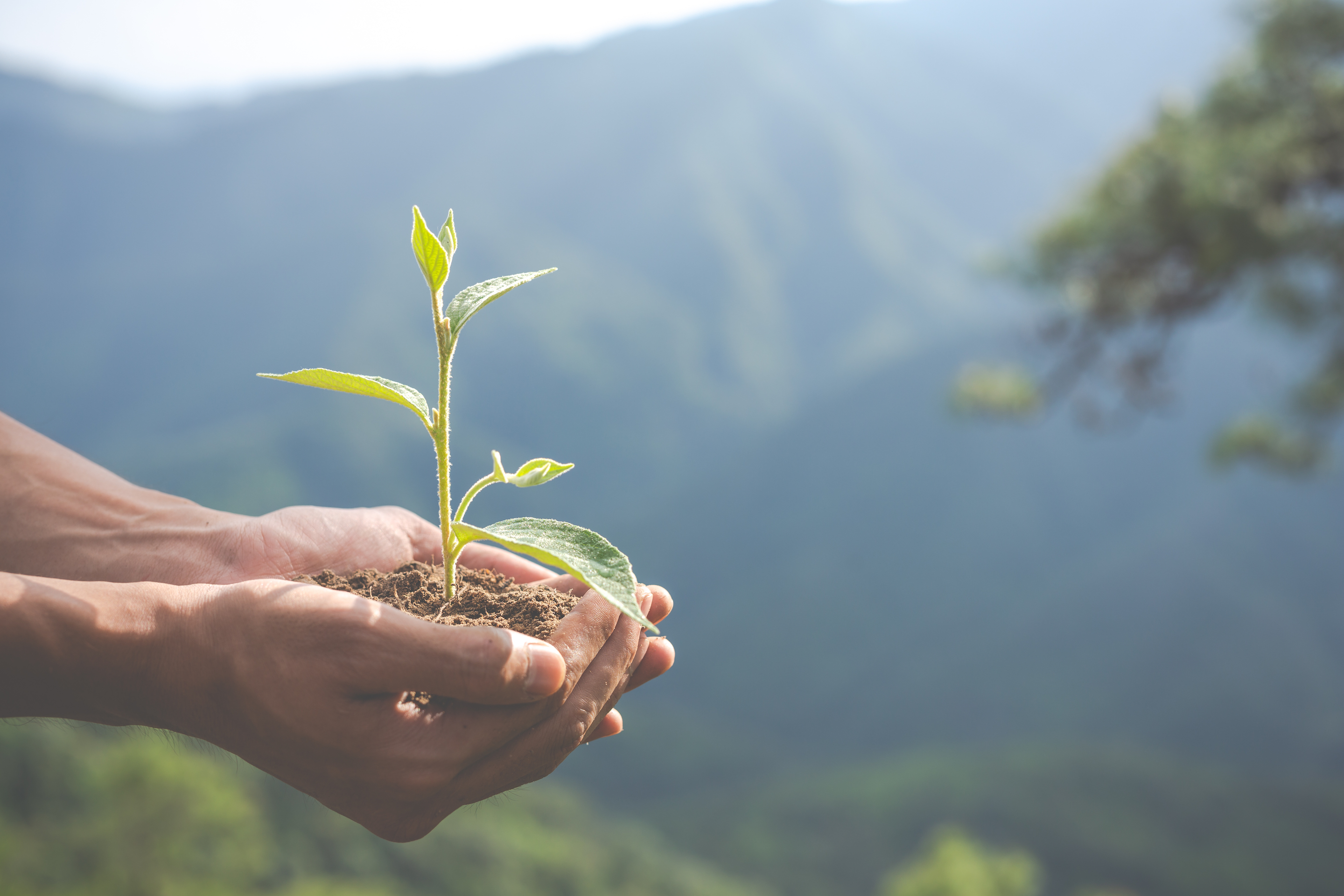 Sustainability